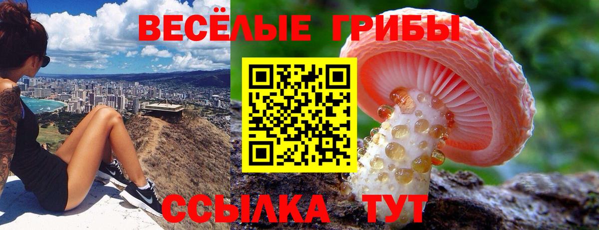Солнечногорск  как найти наркотики  Вход с VPN  Галлюциногенные грибы мухоморы 