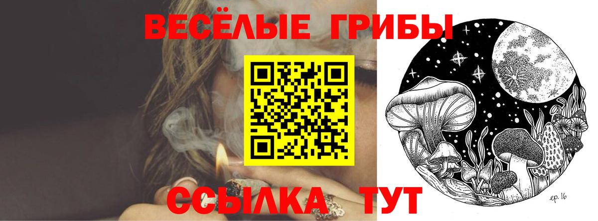 Галлюциногенные грибы GOLDEN TEACHER Солнечногорск